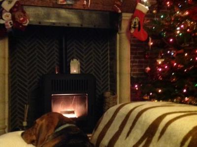 MCZ Cute te Mechelen